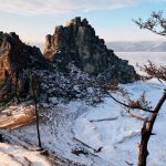 Снег обрисовывает камни и сосны у ладожского берега