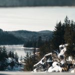 Боковой свет выделяет снег на каменистом берегу