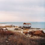 Сосны и камни задают несколько планов у воды