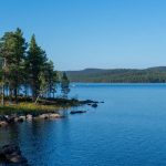 Длинные тени сосен пересекают каменистый берег