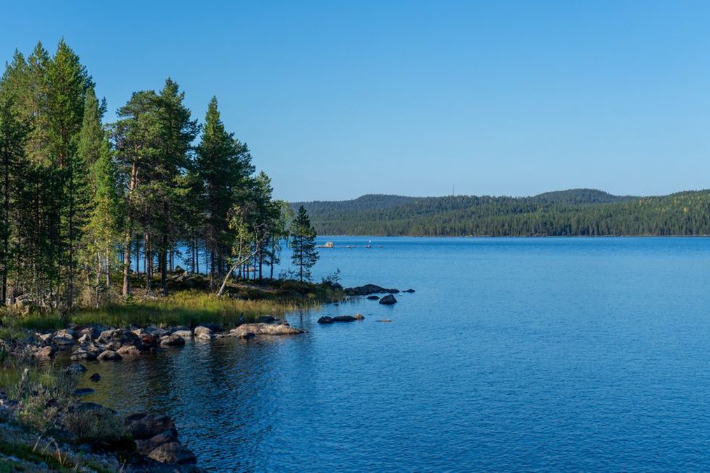 Длинные тени сосен пересекают каменистый берег