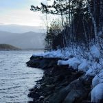 Снежный берег и сосны обрамляют ладожский пролив